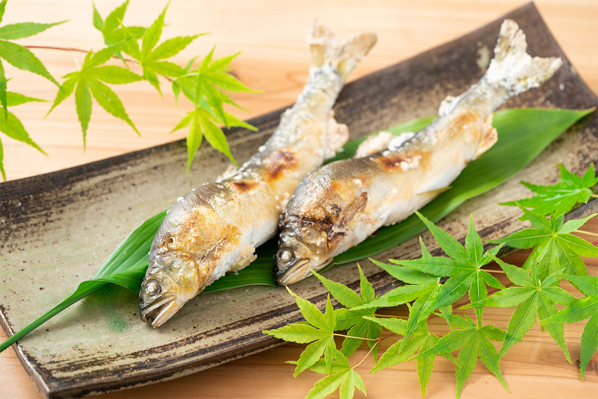 塩焼き・一夜干（冷凍）